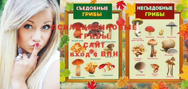 ГАЛЛЮЦИНОГЕННЫЕ ГРИБЫ Бронницы