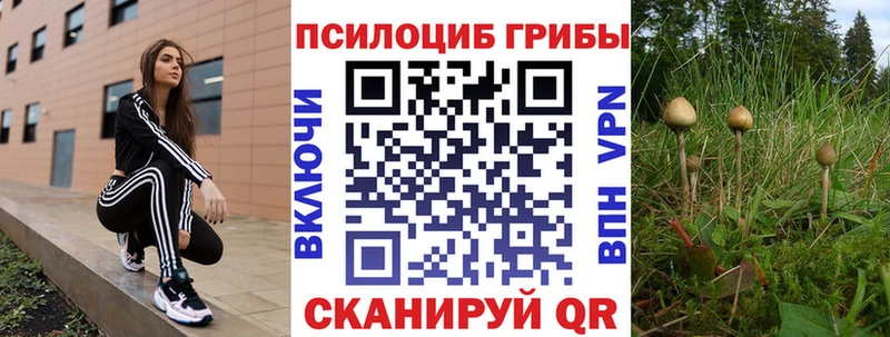 Галлюциногенные грибы мицелий купить Жуков